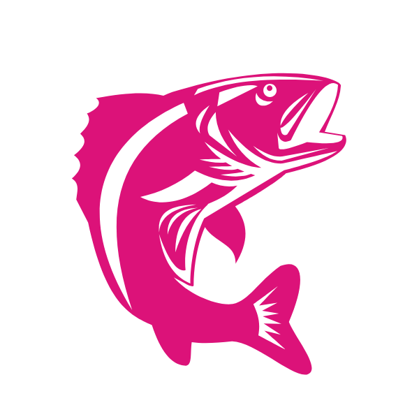 Walleye fishing